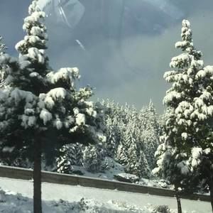 Meet your Posher, Dave